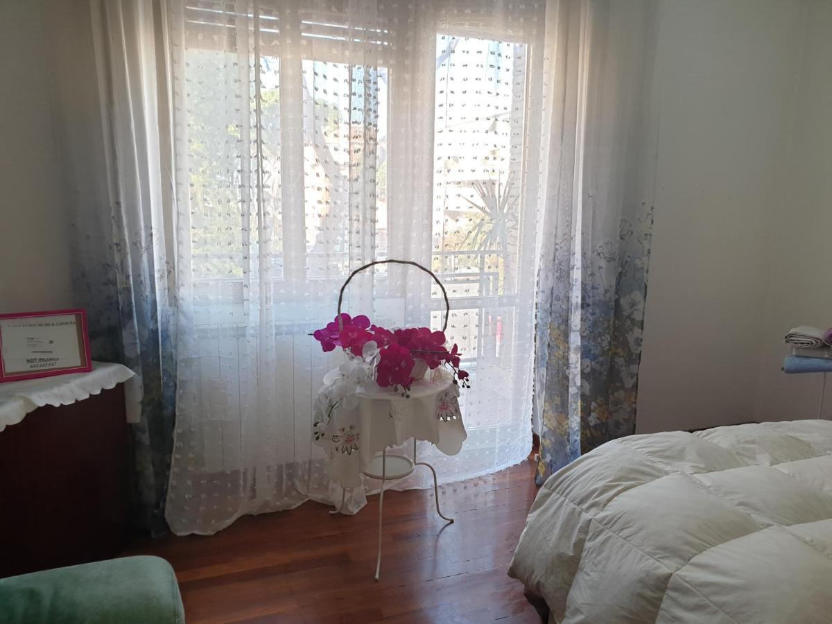 B&B Mary'S House Ciampino Exteriör bild